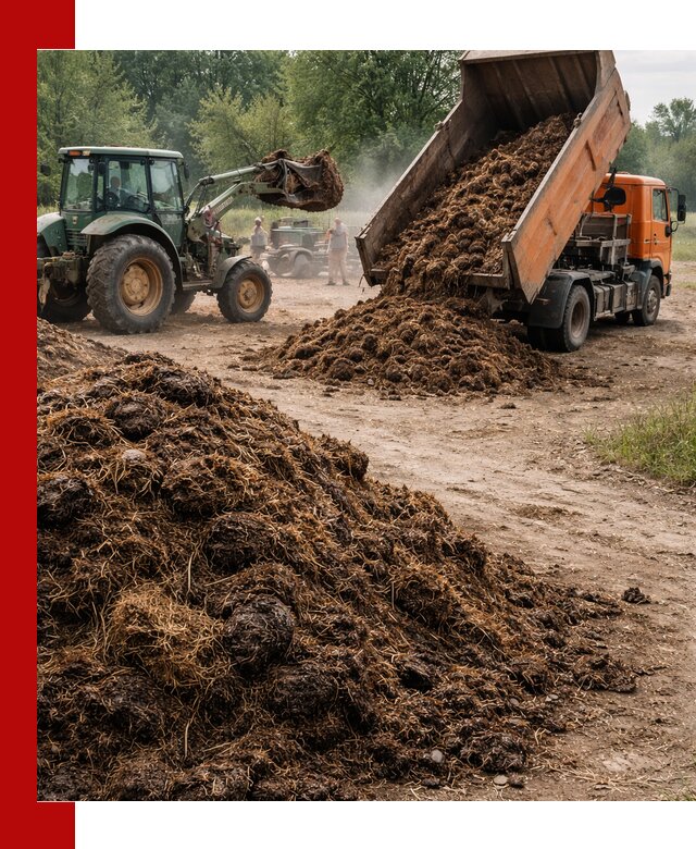 Доставка навоза самосвалами в Нижнем Новгороде для сельхозпотребностей