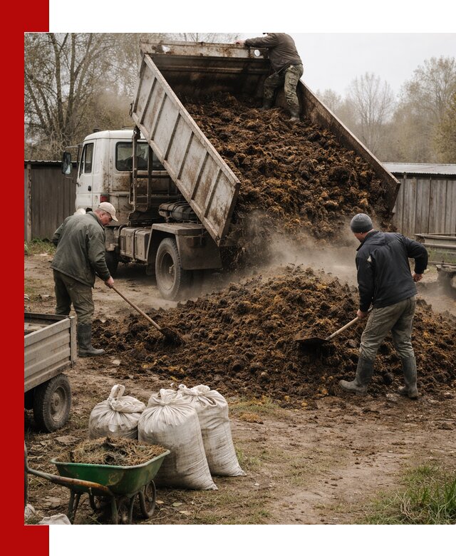 Доставка коровьего навоза самосвалом в Нижнем Новгороде